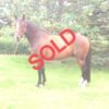 Hudson-SOLD